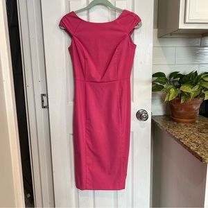 Banana Republic Pink Sheath Dress